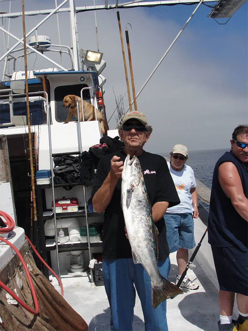 Mike Elder, Pink Fishing Pro Staff, Freshwater - Pink Fishing